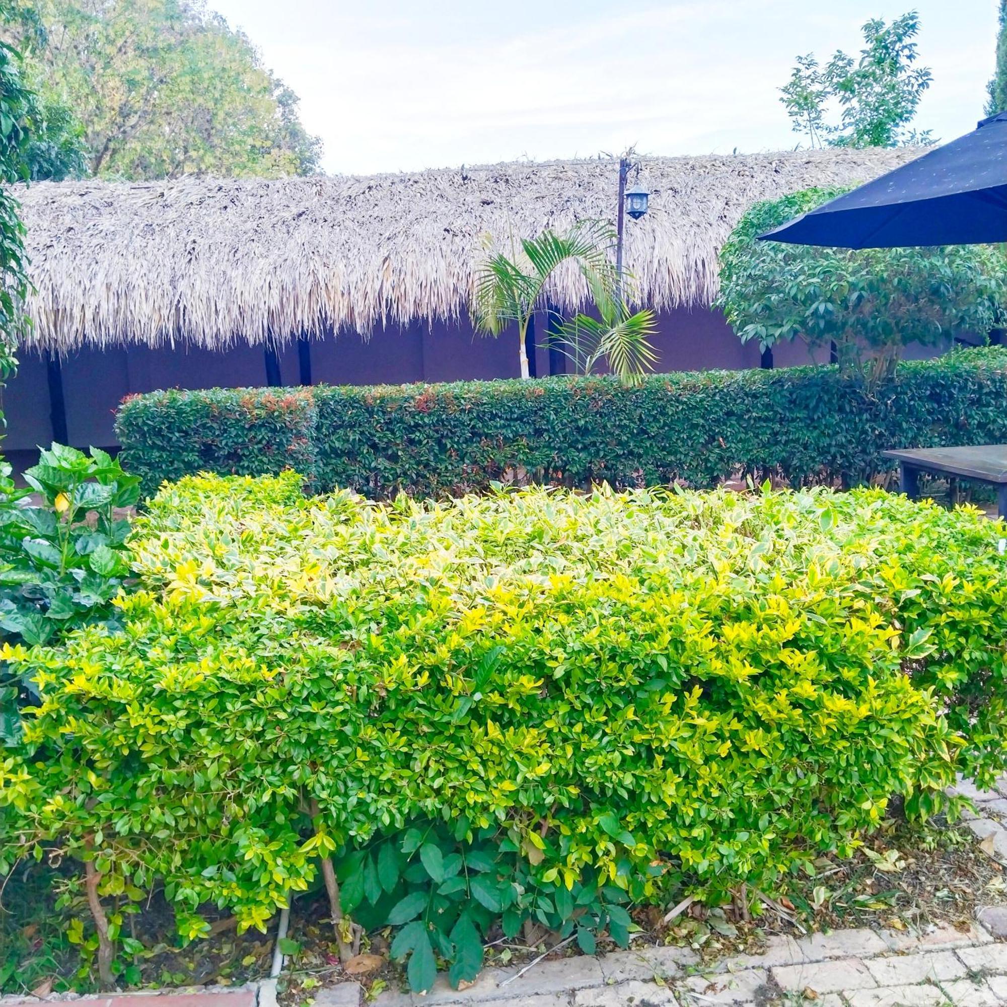וילה דה לייבה Hostal Balcon De Anita Rancho Tranquera מראה חיצוני תמונה